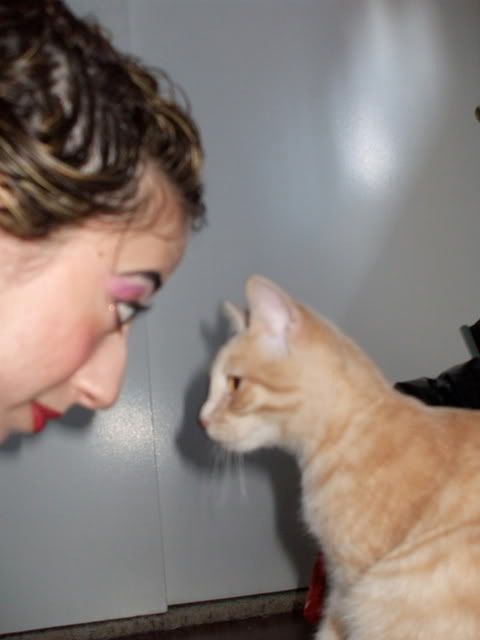 DSCF3484.jpg