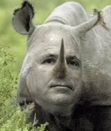 McCain_Rino225.jpg