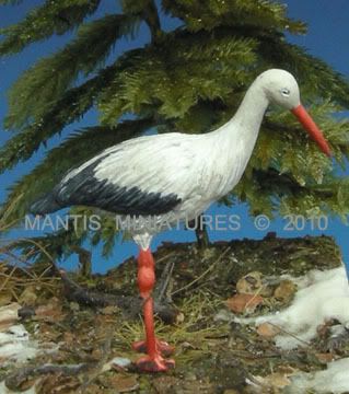 stork.jpg