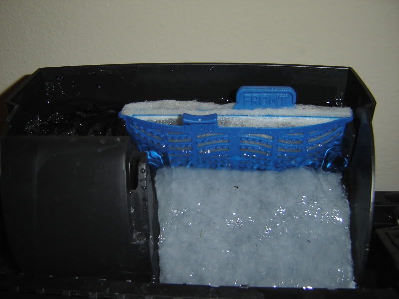 How to get rid of those tiny bubbles from HOB filters