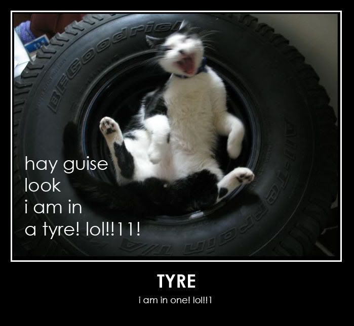 http://img.photobucket.com/albums/v175/absolom/kittah/1174326255-tyre2.b.jpg