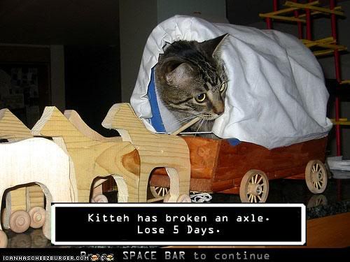 http://img.photobucket.com/albums/v175/absolom/kittah/oregon-trail.jpg