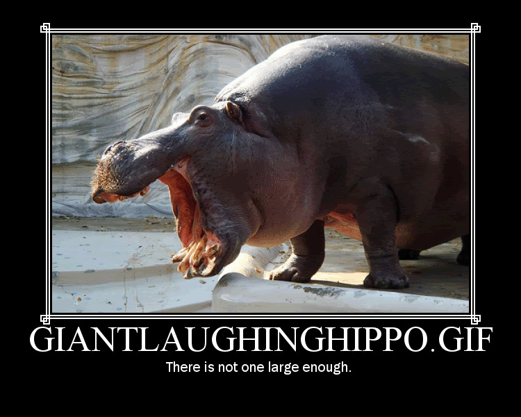 giantlaughinghippo.gif