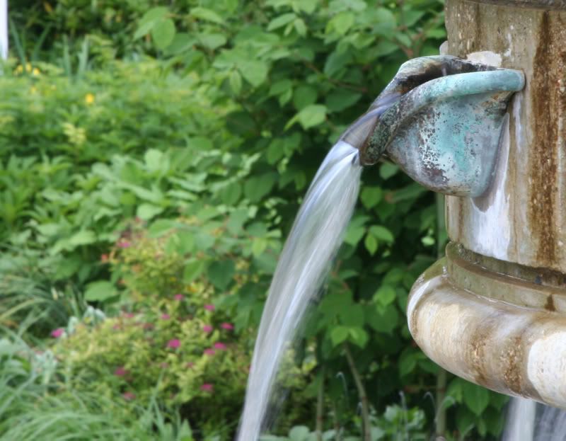 IMAGE: http://img.photobucket.com/albums/v175/onenictoy/Botanical%20Gardens/IMG_0451_Cropped.jpg