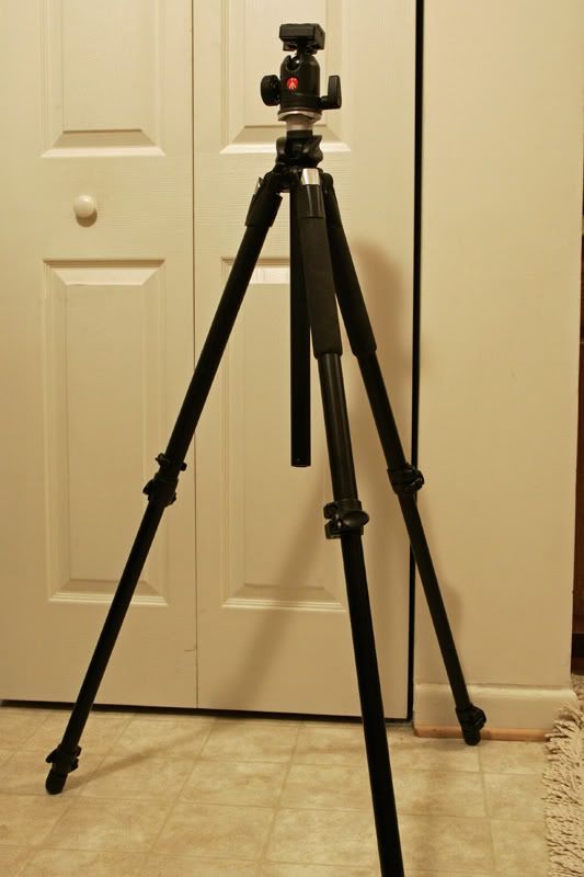 IMAGE: http://img.photobucket.com/albums/v175/onenictoy/_V0I7225_Crop2.jpg