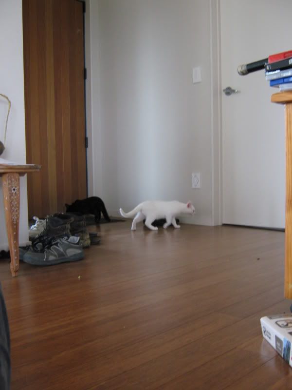 IMG_0033.jpg