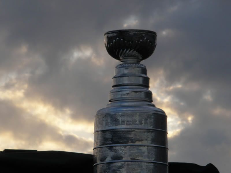 Cup5.jpg