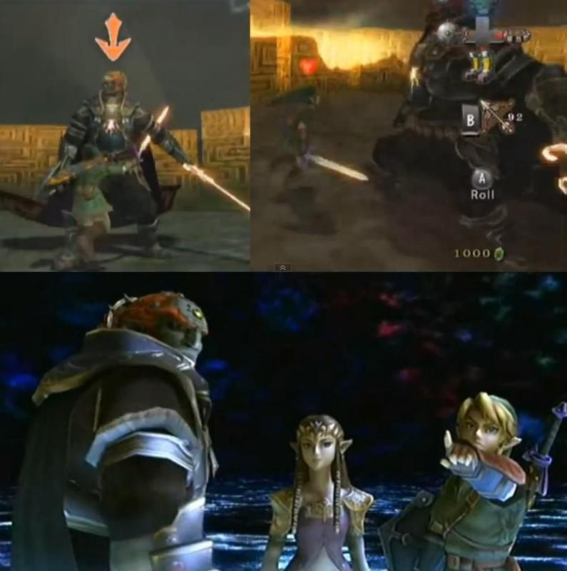 Zelda_TP_01_zps20a5241b.jpg