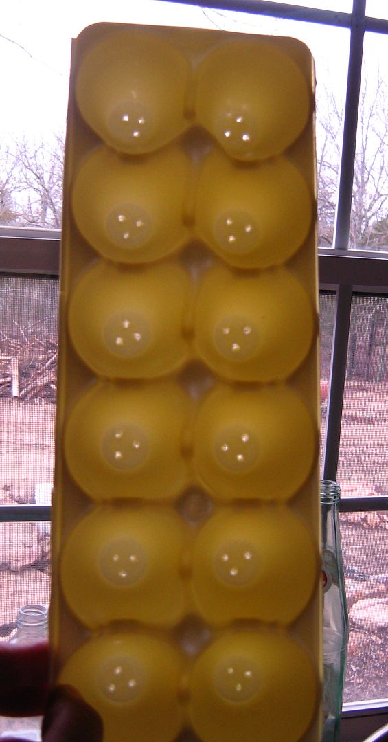 photo 00egg1_zps769f973c.jpg