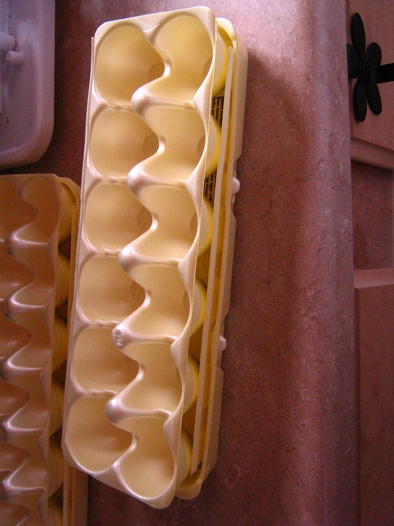 photo 00egg2_zps0cf7f6c5.jpg
