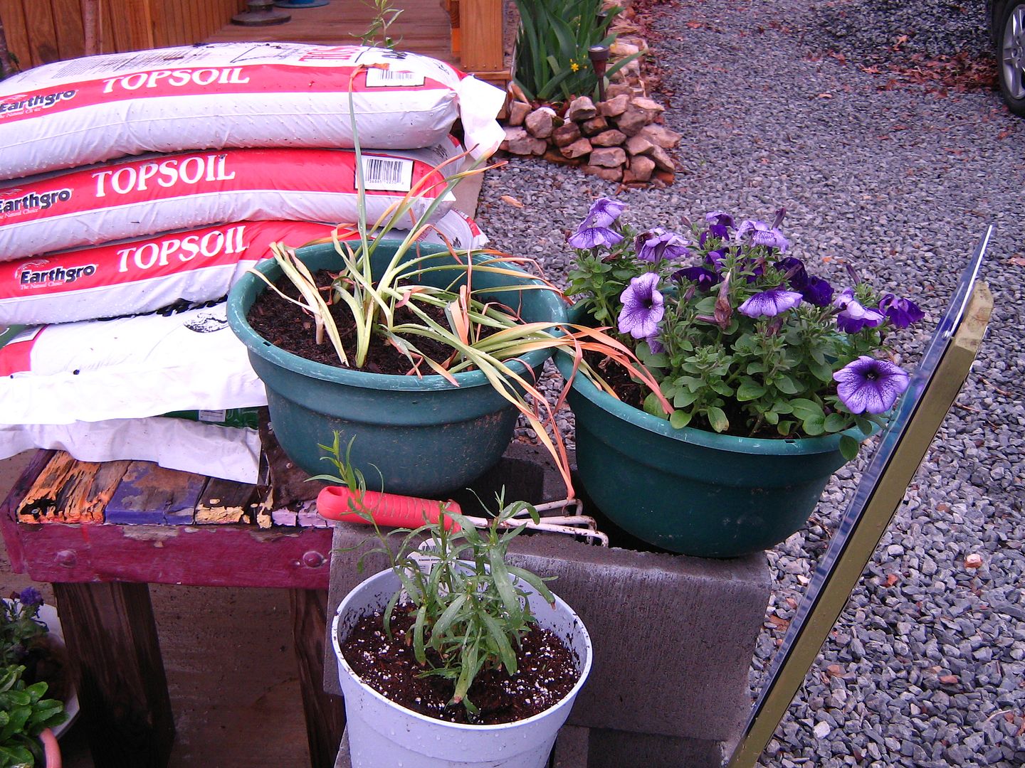 photo 00tarr2_zps760e23bc.jpg