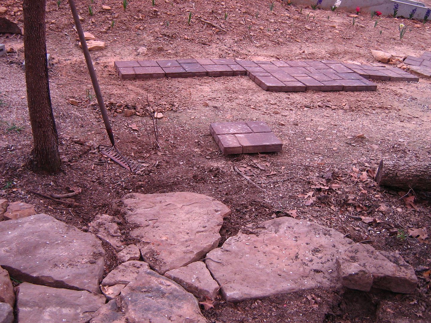 photo 7path4_zps299dff95.jpg