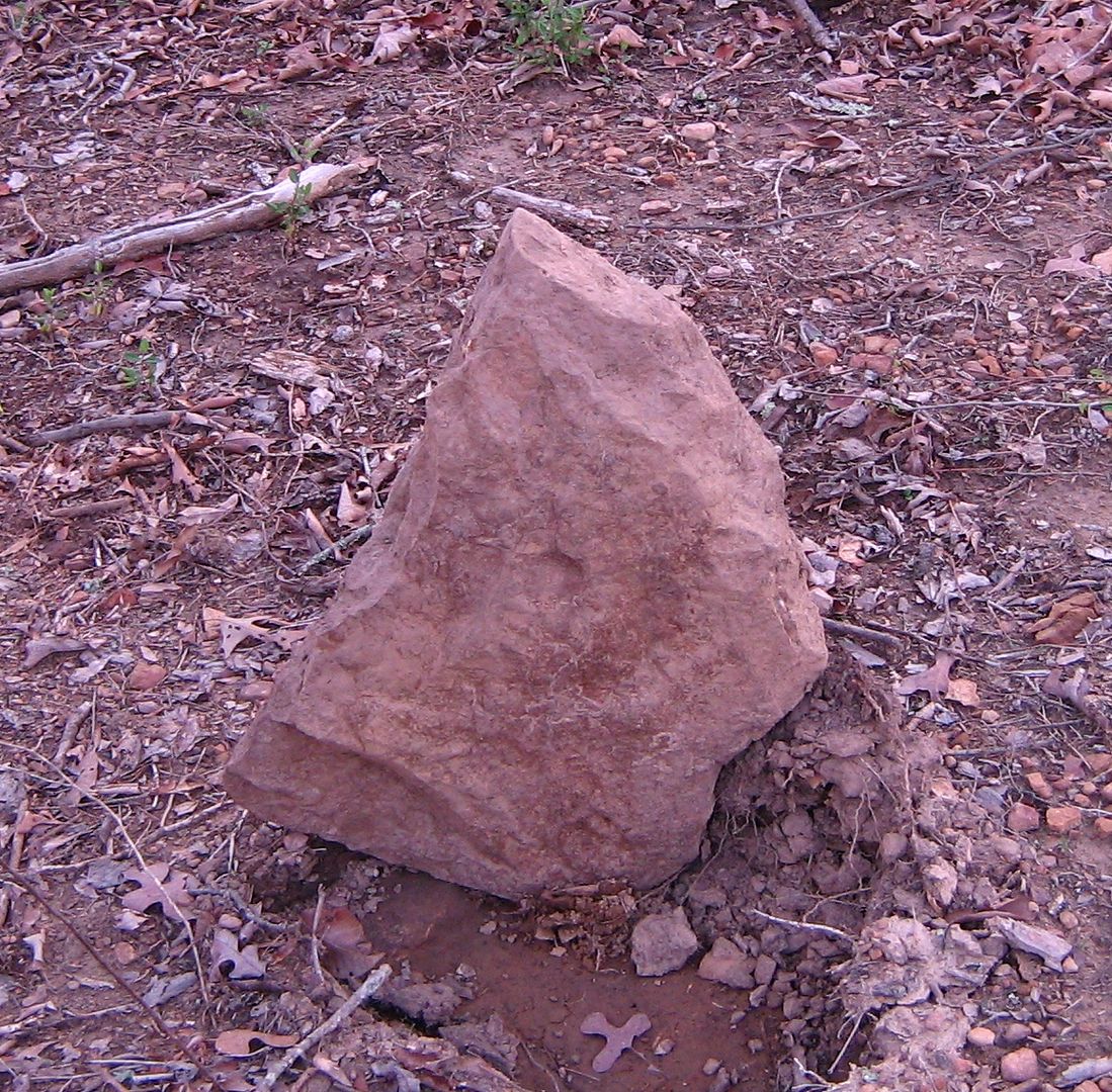 photo 7rock1_zps7d4d3ad1.jpg