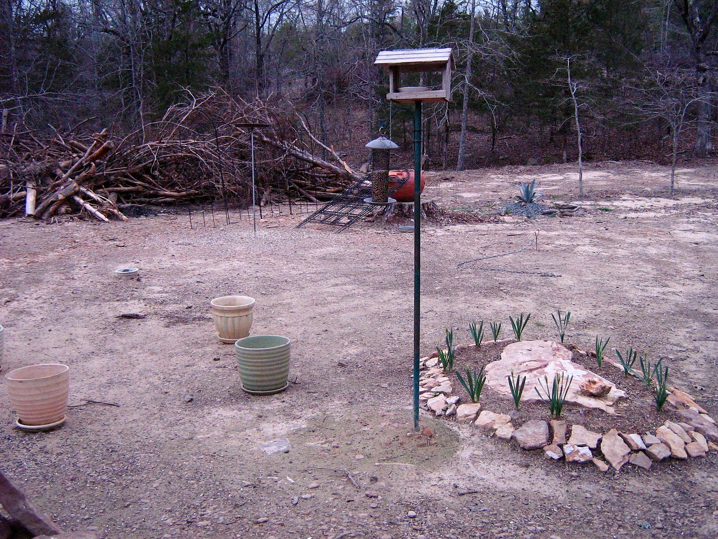 photo herbpots1_zpsc89716be.jpg