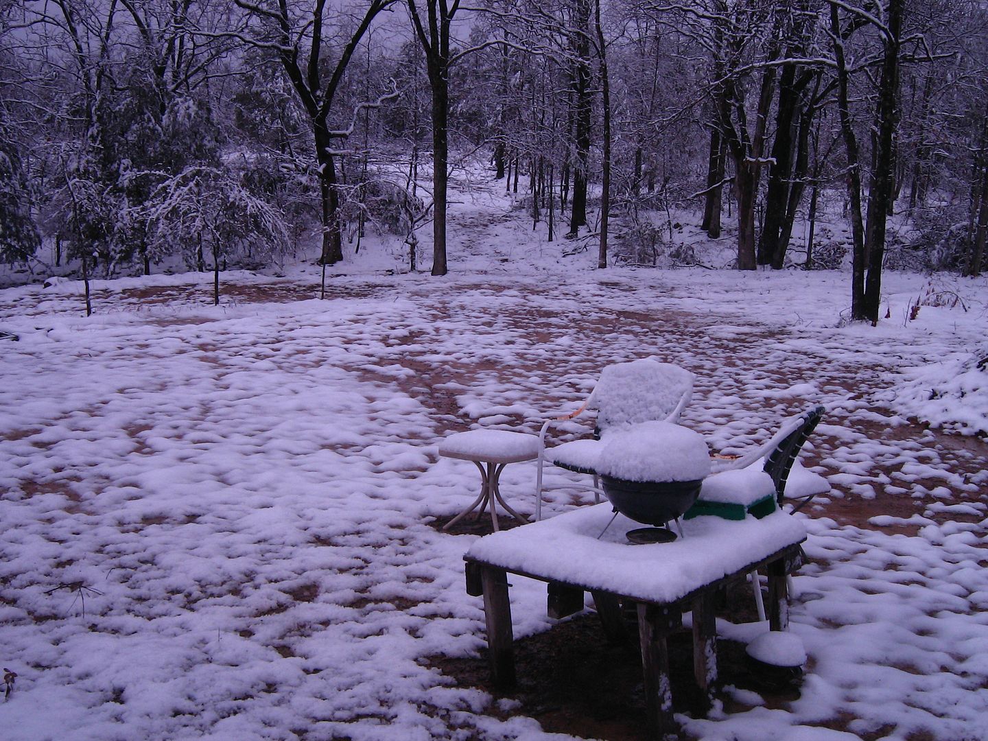 photo 2sno21_zps1a843fc1.jpg