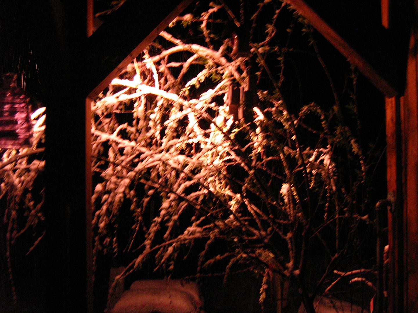 photo 2sno3_zps14b1a55a.jpg