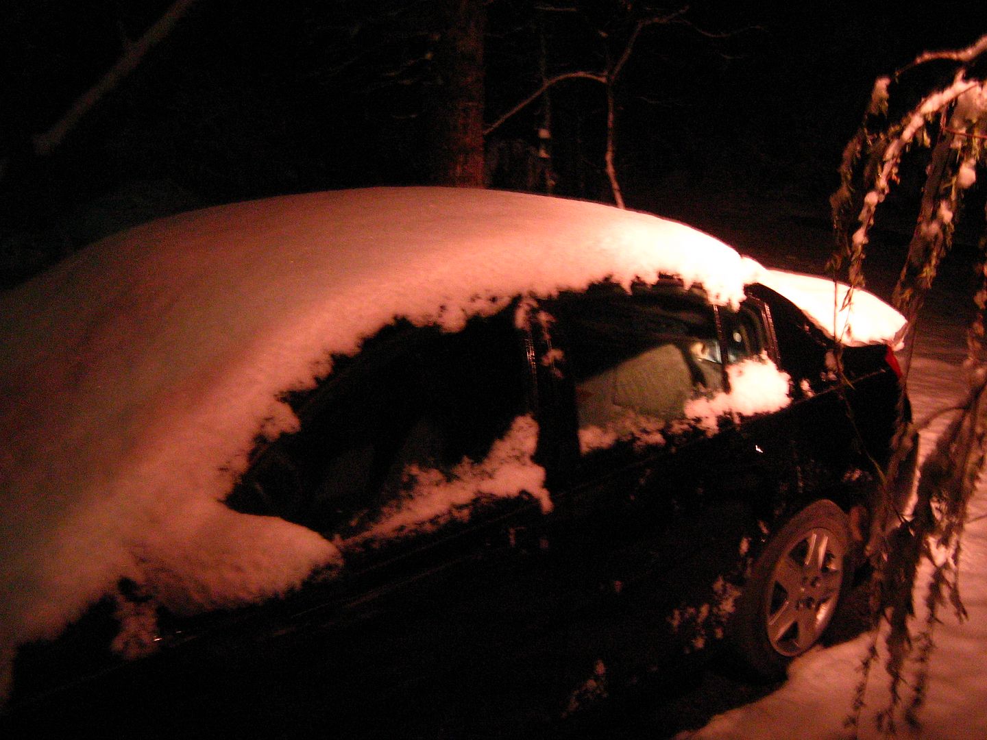 photo 2sno5_zps5d6fa703.jpg