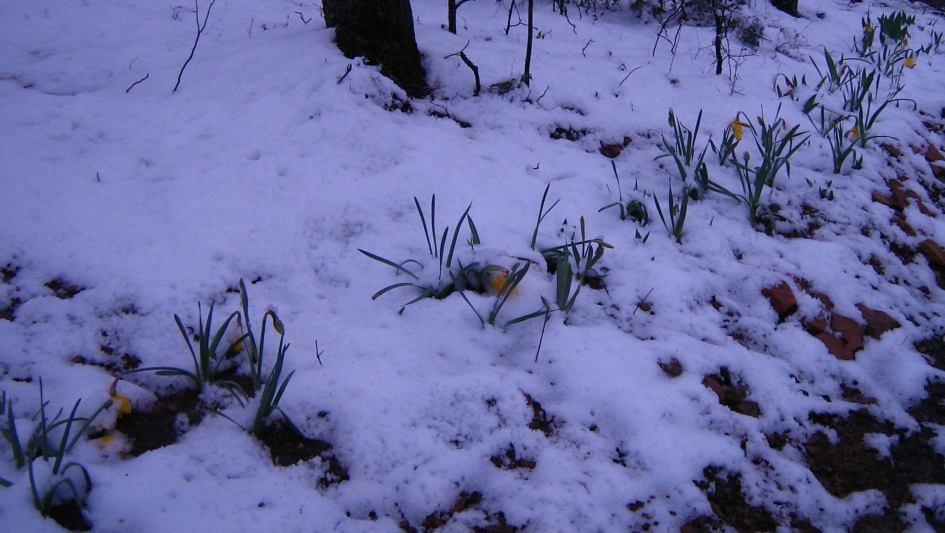 photo 2sno8_zps4122078f.jpg