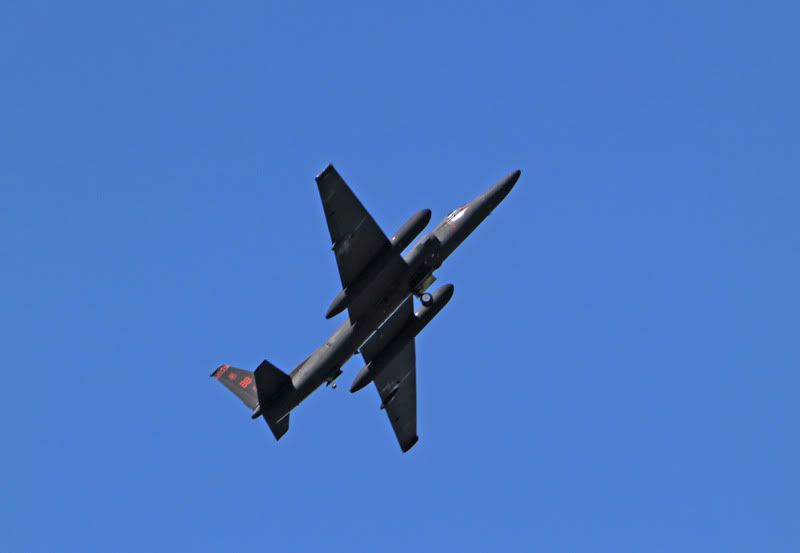 IMAGE: http://img.photobucket.com/albums/v176/forty5r/Beale%202011/IMG_9070.jpg