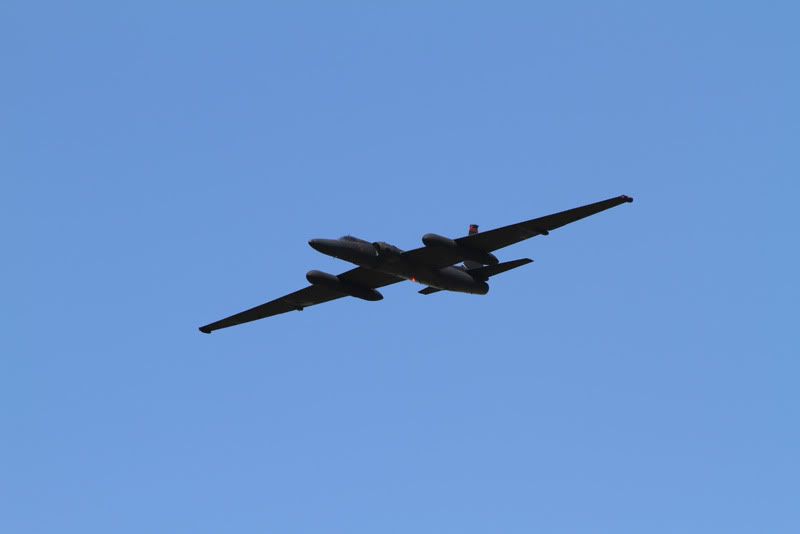 IMAGE: http://img.photobucket.com/albums/v176/forty5r/Beale%202011/IMG_9268.jpg