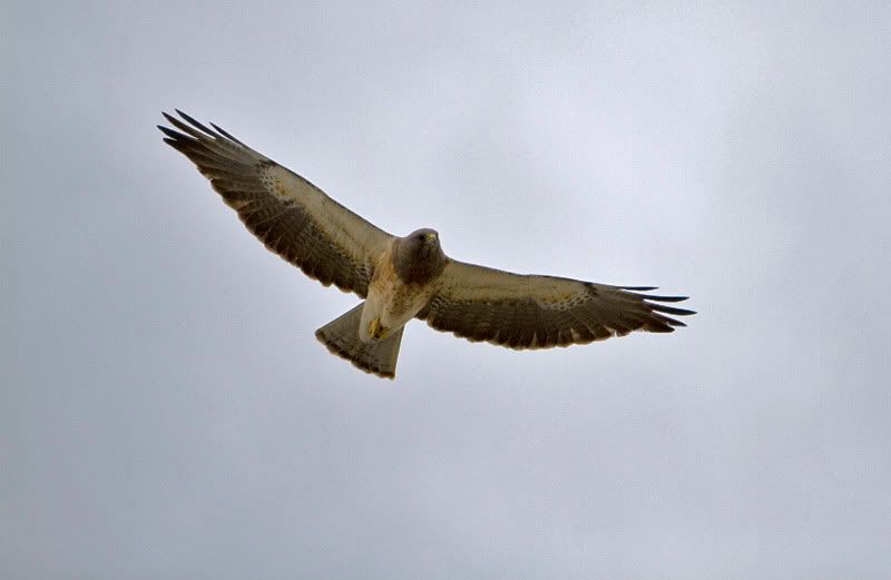 IMAGE: http://img.photobucket.com/albums/v176/forty5r/IMG_2328.jpg