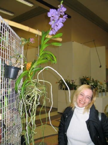 Orchidee_00131.jpg