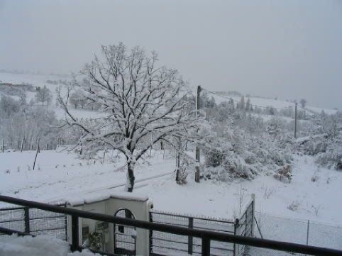 neve2005_00191.jpg