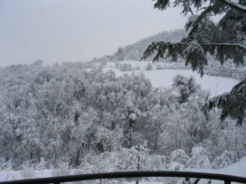 neve2005_00211.jpg