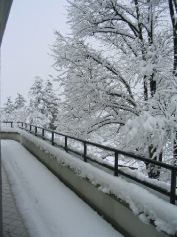 neve2005_00221.jpg