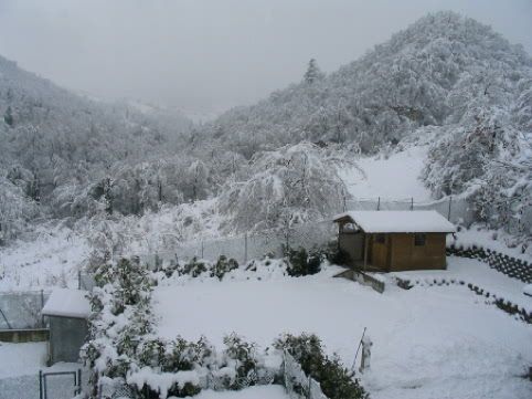 neve2005_00231.jpg