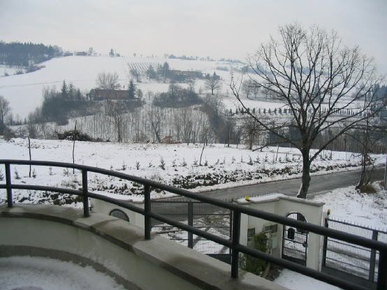 neve_01401.jpg