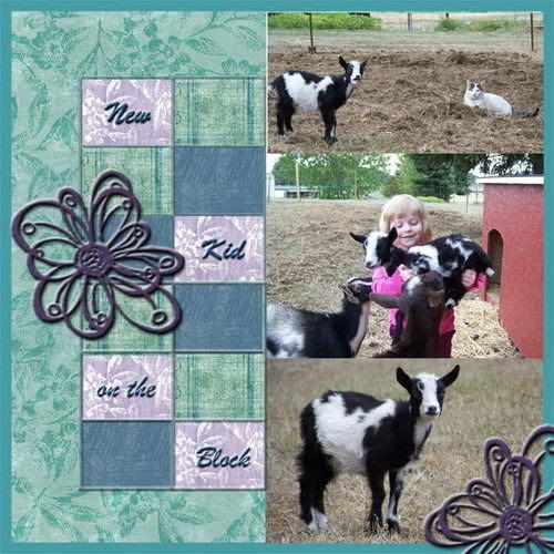 Pics of baby Nigerian Dwarves? - Goats