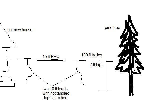 Dog Trolley With Two Dogs? - Homesteading Questions