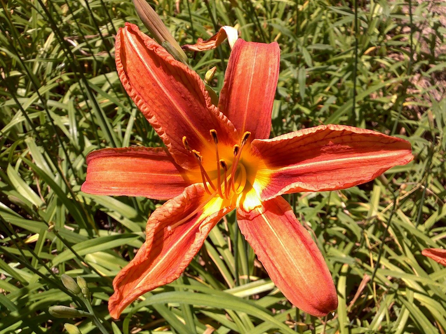 06052009020.jpg