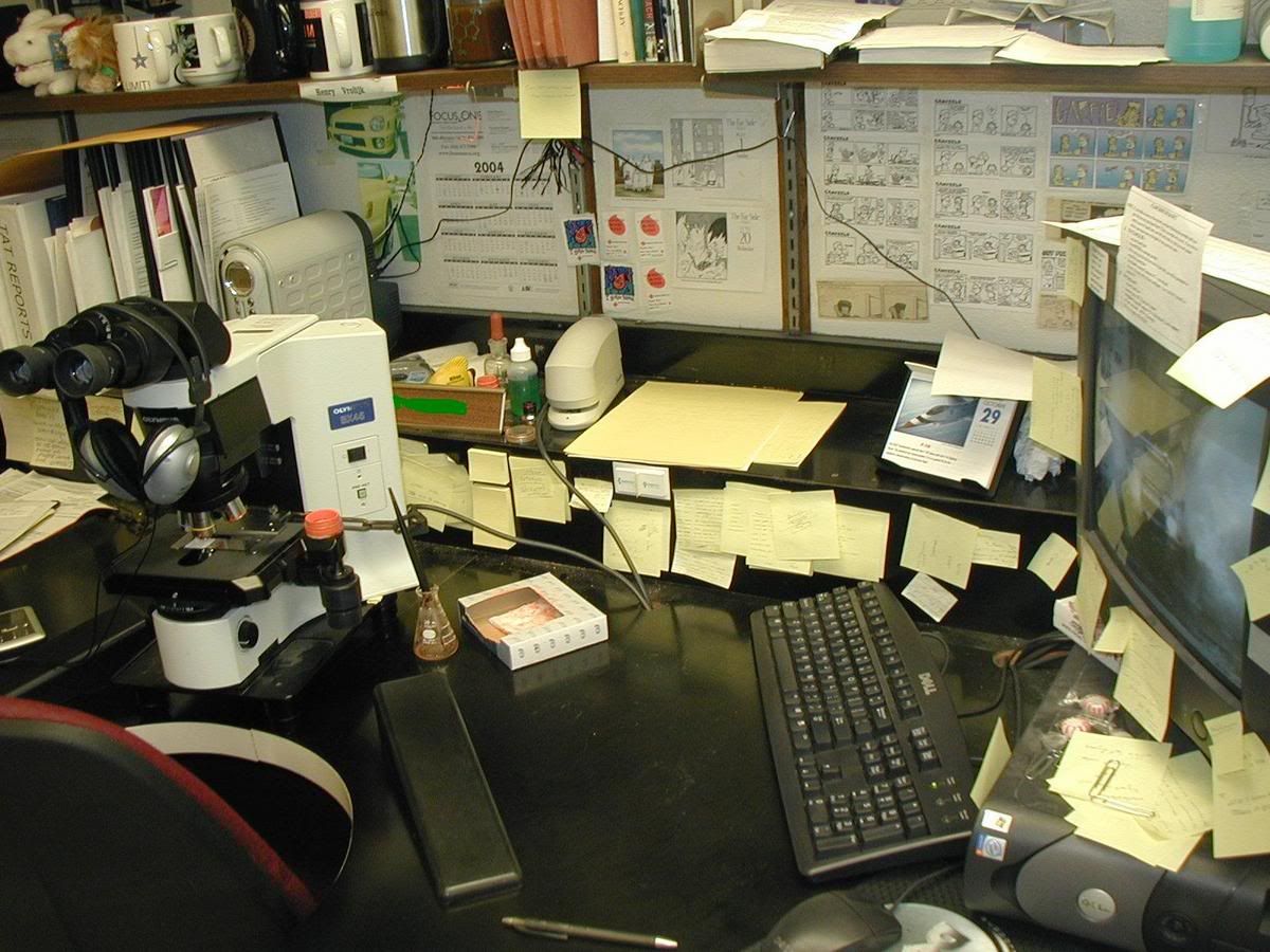 Wiring Diagram PDF: 2002 Subaru Wrx Fuse Box Location