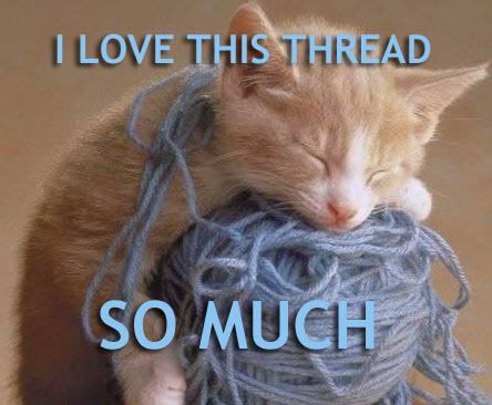 lol-cats_i-love-this-thread-so-much.jpg