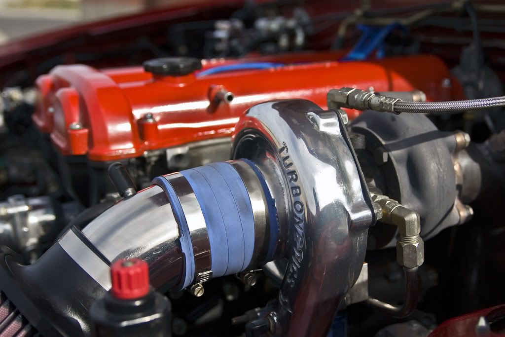 IMAGE: http://img.photobucket.com/albums/v179/clee130/photos/IMG_0198-lrg.jpg