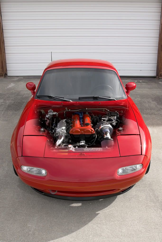 IMAGE: http://img.photobucket.com/albums/v179/clee130/photos/IMG_0222-lrg.jpg