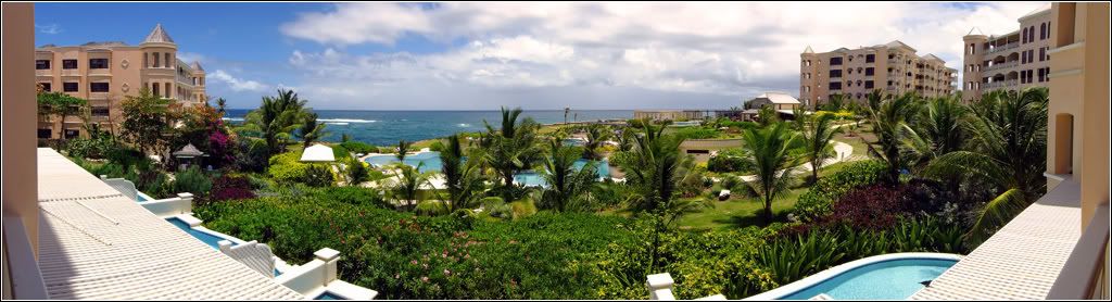 IMAGE: http://img.photobucket.com/albums/v179/clee130/photos/crane01-sm-1.jpg