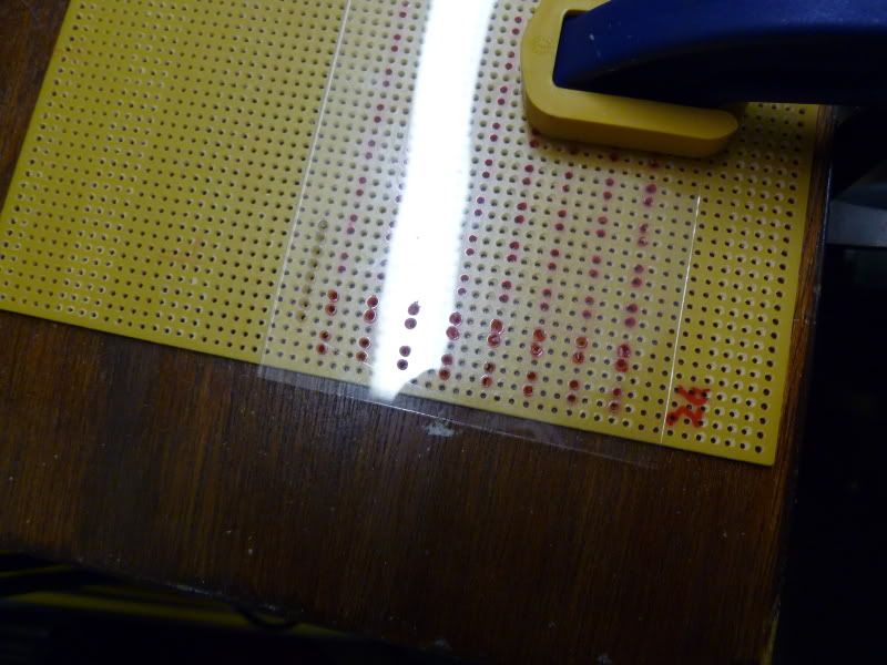 P1000950.jpg