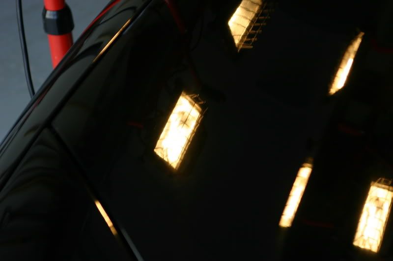 IMG_5515.jpg