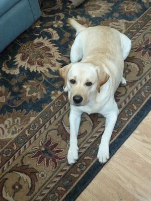 Riley