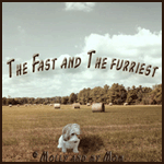 The Fast and The Furriest 