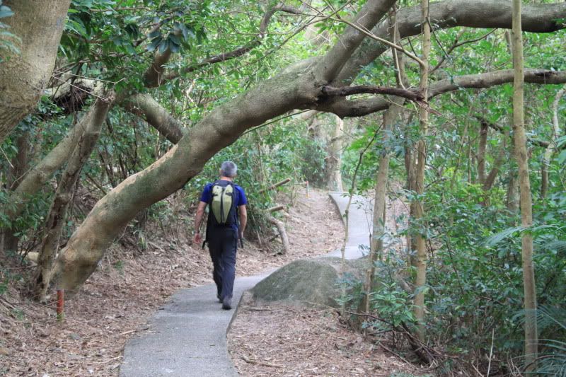 lamma island chris adams