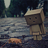 | Danbo Icons for MSN |,
