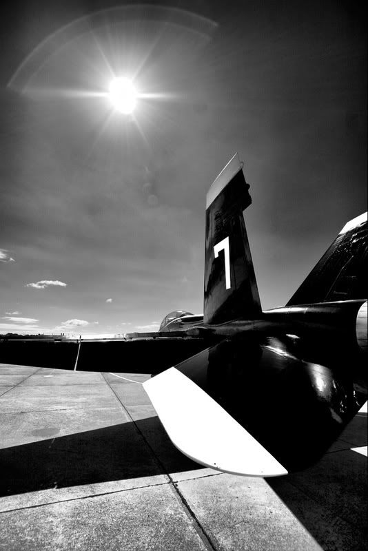 IMAGE: http://img.photobucket.com/albums/v180/helograd/Blue%20Angels/web-IMG_0497.jpg