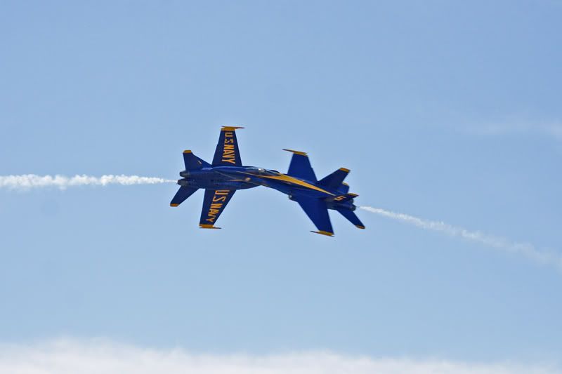 IMAGE: http://img.photobucket.com/albums/v180/helograd/IMG_1174web.jpg