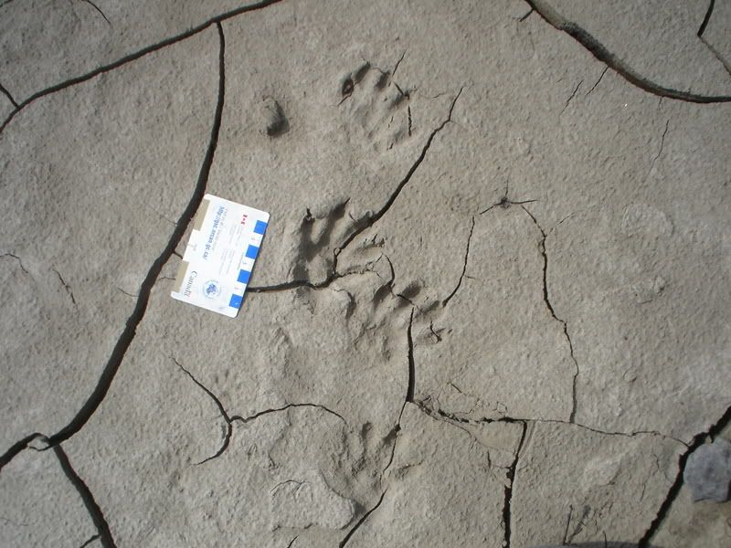 DSC03510.jpg