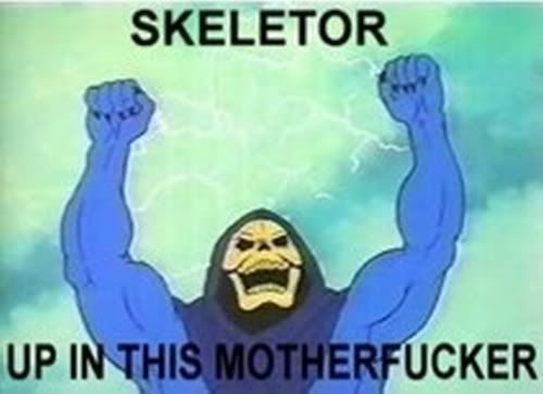 http://img.photobucket.com/albums/v181/87FOXGT/skeletorLOL.jpg