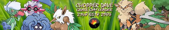 grassgym.jpg